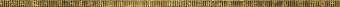 Фото товара Монетовидный жетон «Жужелица крымская» 2017 в интернет-магазине нумизматики МастерВижн