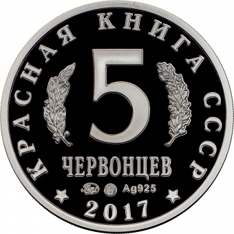 Монетовидный жетон «Каракал» 2017