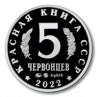 Монетовидный жетон «Кошачья змея» 2022