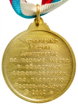 Нагрудная медаль «За успехи. 2012 год»