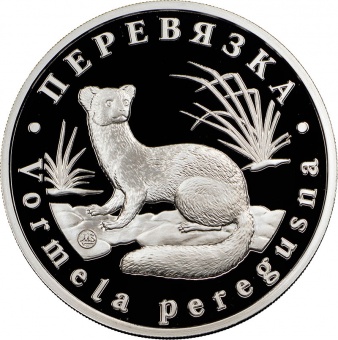 Монетовидный жетон «Перевязка» 2015, 2021