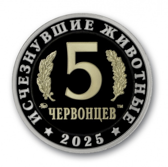 Фото товара Монетовидный жетон «Килеск» вар.1 пруф в интернет-магазине нумизматики МастерВижн