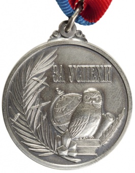 Нагрудная медаль «За успехи, 2010-2011 гг.»