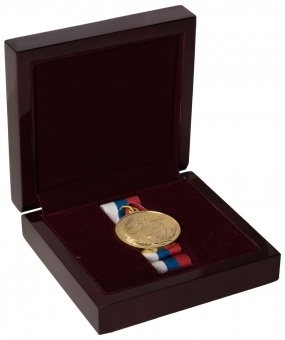 Медаль «За успехи. 2016-2017»