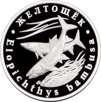 Монетовидный жетон «Желтощёк» 2018